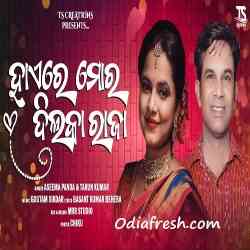 Hayere Mor Dil Ka Raja